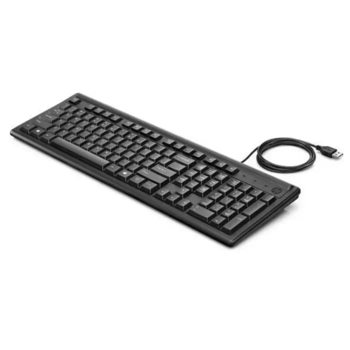 HP K100 Wired Keyboard